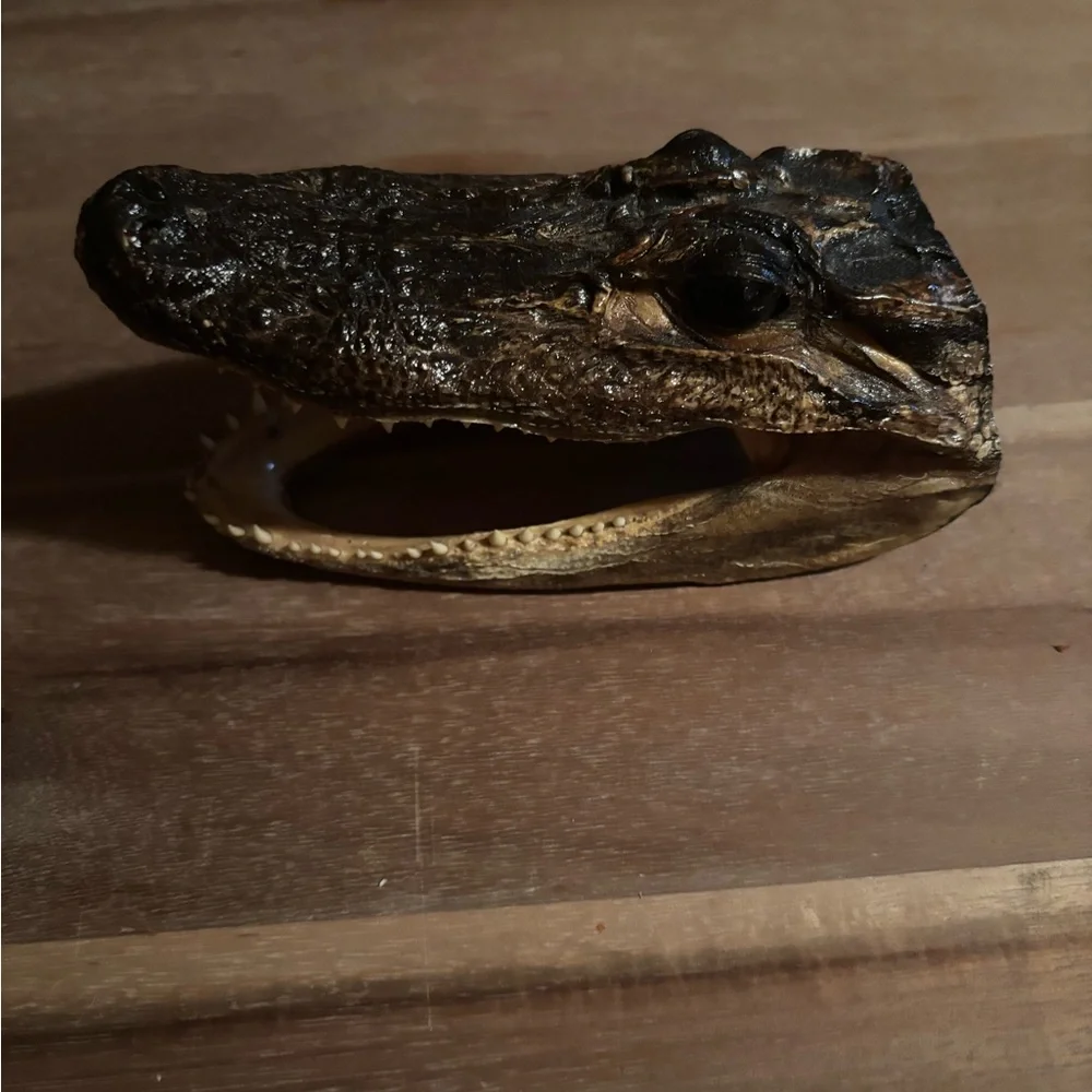 Realistic Brown Reptile Head Decor